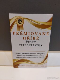 Klisnička na prodej - 5