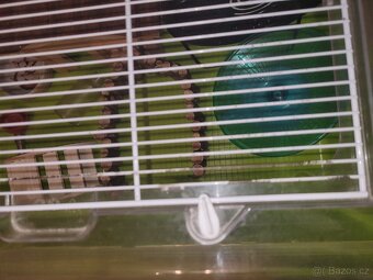 Klec pro křečka i zlatého velká plastová s vybavením a Zlín - 5