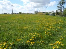 Prodej komerčního pozemku až 38 000 m² v Turnově - 5