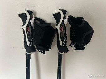 Leki Artena 3 D 115 - 5