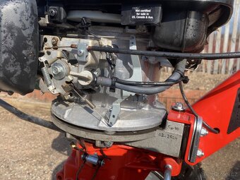 tera Vari s velkým vozíkem a motorem hodna - 5