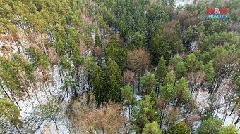 Prodej lesa, 4642 m², Mírová pod Kozákovem - 5