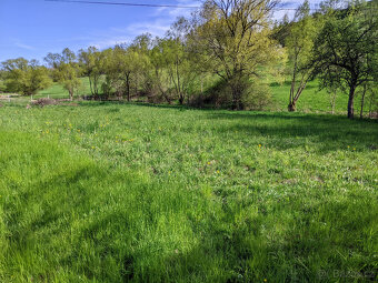 Prodám zahradu 2000m² - Frýdštejn - Sestroňovice - 5