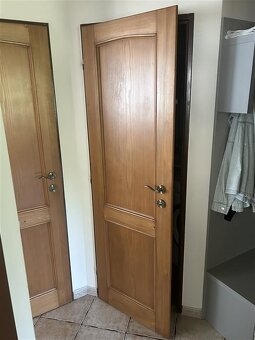 Dveře - 5