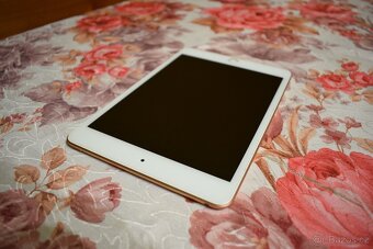 Apple iPad mini 5th Gen, (Wi-Fi Only) - A2133, 64GB, (7) - 5