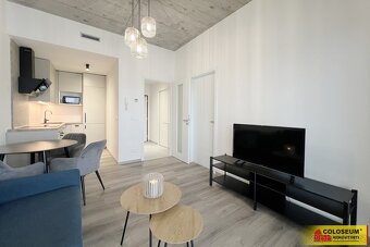 Brno - Horní Heršpice, pronájem bytu OV 2+kk, 37 m², parkova - 5