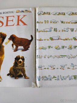 Kachňátko – podívej jak rostou, naučná knížka pro děti - 5