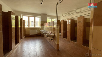 Pronájem skladu, 2000 m², Studénka - 5