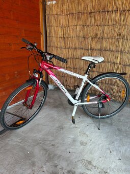 Prodám dámské kolo - 5