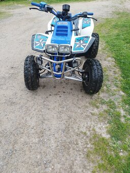 Yamaha Warrior 350 - 5