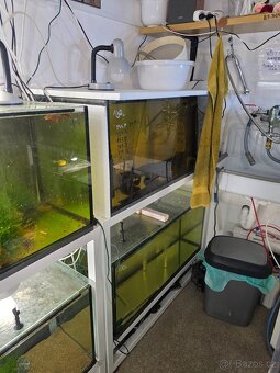 akvárium, akvária, stojan, stojany - 5