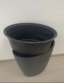 Xxl benjamin vcetne kvetinace - 5