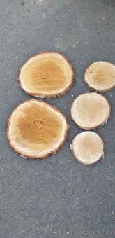 Svatební dekorace - kolečka - 5