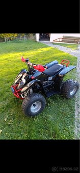 Čtyřkolka Access drr 100 - 5