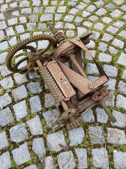 Šroťák na kopřivy - 5