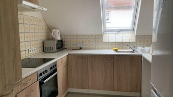 pokoje pro starsi pracujici muze pouze cizinci - 5