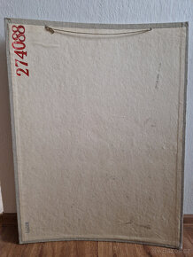 Velký starý školní výukový plakát obrázek ptáci sýkorky - 5