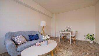 Prodám byt 1+1 s nájemníkem – Hodonín - 5