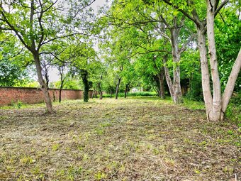 Prodej zahrady u Olomouce, 800 m2, Krčmaň - 5