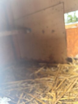 Kurník pro 6 slepic - 5