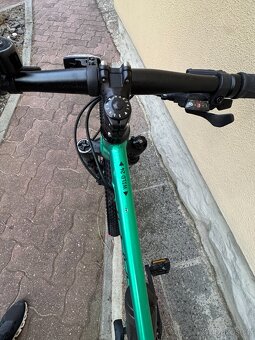 KOLO RASCAL WILD 24 - 5