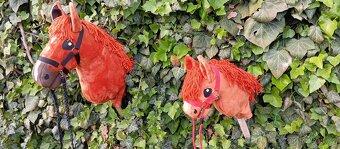 Hobby horse - 5