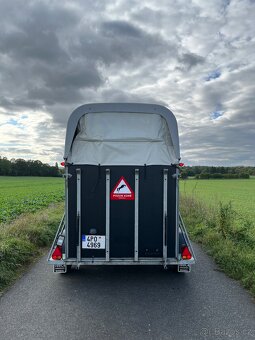 Přepravník na dva koně HOTRA po renovaci. - 5