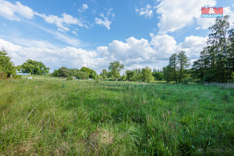 Prodej pozemku k bydlení, 4110 m², Seníky - 5