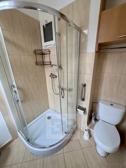Pronájem bytu 2+kk - ul. Petřínská, ev.č. N08361 - 5