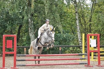 Milionový valach ČT - 5