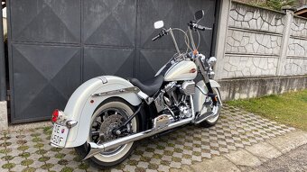 Harley Davidson Softail 110” - 5