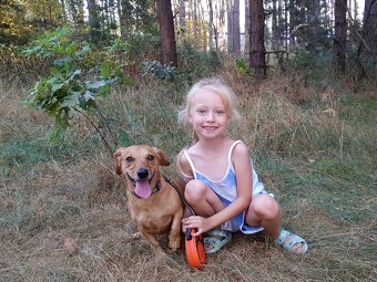KUKY K ADOPCI - VESELÝ, HRAVÝ, ČEKÁ NA MILUJÍCÍ RODINU - 5