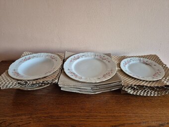 Talířová sada motiv růžičky Bernadotte - 5