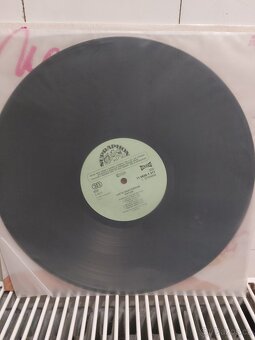 LP Iveta Bartošová Natur - 5