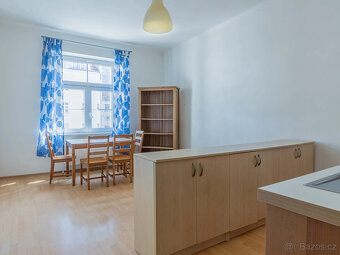 Pronájem bytu 2+kk 45 m² sklep, Praha 3 Žižkov - 5