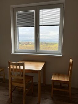 Pronájem bytu 1+kk 27 m² Brno, Tovární - 5
