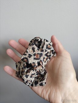 Nový leopardí skřipec - 5