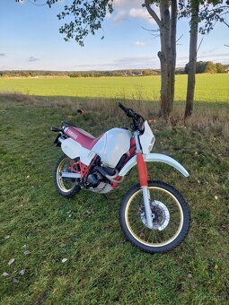 Yamaha XT 600 Z Tenere - 5