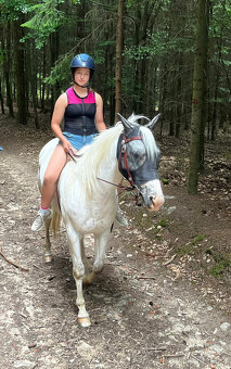 Appaloosa klisna z prověřeného původu - 5