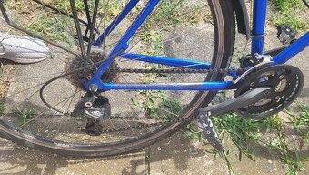 Pánské kolo Amulet Activ - 5