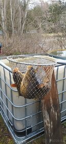 Keser, podběrák - 5