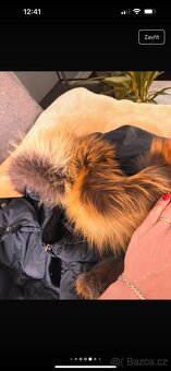 Tommy Hilfiger kabat - 5