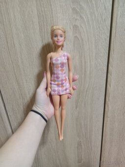 Panenky,auto,kočáry a koník - 5