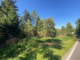 Pozemek 6 104 m² na Vysočině – BEZ RK - 5