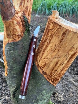 Bonsai, Bonsaj, nožové dláta na jiny, sada - 5