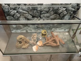 Akvárium pro vodní želvu - 5