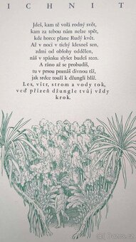 Druhá kniha džunglí - 1933 - 5