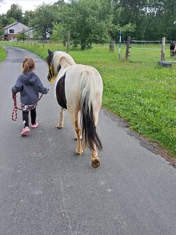Úžasná pony kobylka - 5