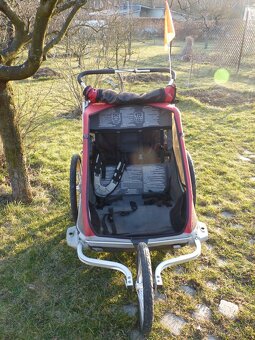 Chariot Cougar 2 - 5