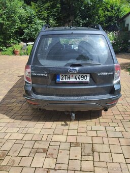 Forester - 5